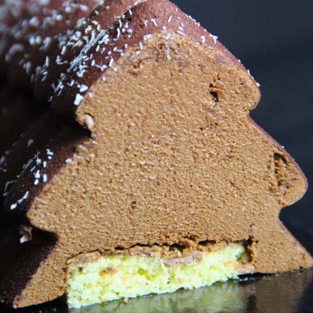 Sa bûche sapin au chocolat coupée, mousse chocolat sur biscuit